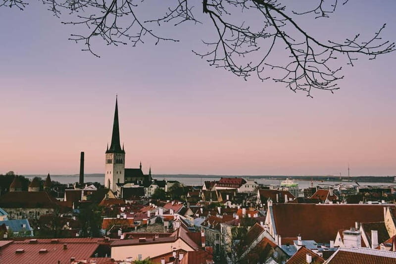 Tallinn: Express Walk with a Local in 60 minutes - Why This Tour Stands Out