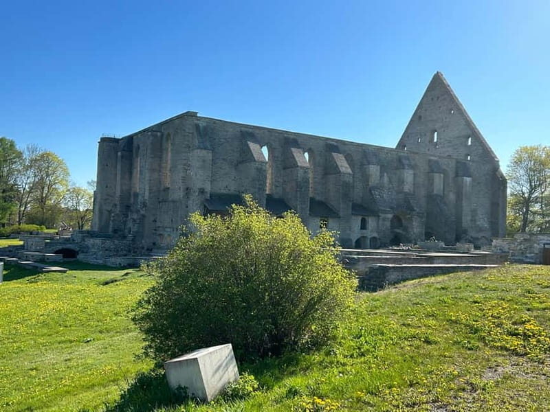 Tallinn: Half-Day City Tour - The Sum Up: Who Is This Tour Best For?