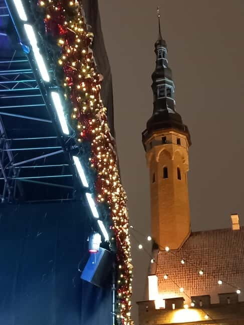 Tallinn: Lower and Upper Town (Guided Walking Tour) - Who Would Love This Tour?