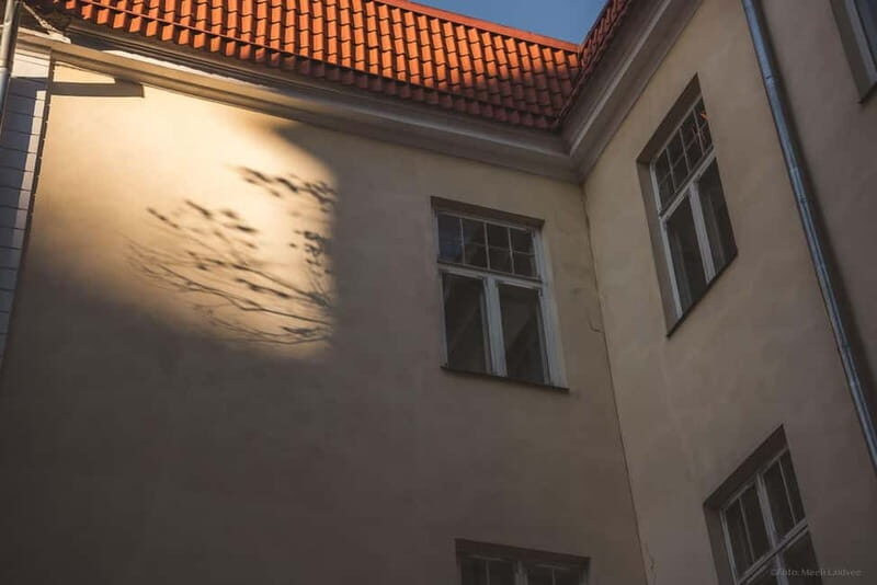 Tallinn: Old Town Ghost Tour - Exploring Tallinn’s Haunted Streets: A Detailed Look