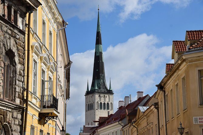 Tallinn Old Town Tour combined with Bog Walk - Key Points