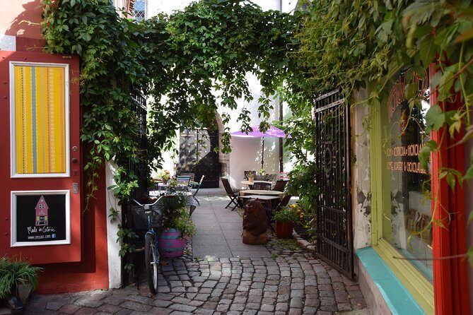 Tallinn Old Town Tour combined with Bog Walk - An In-Depth Look at the Tour Itinerary