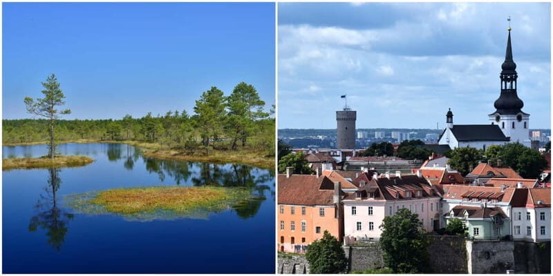 Tallinn: Old Town Tour with Bog Walk - The Day Unpacked: What to Expect
