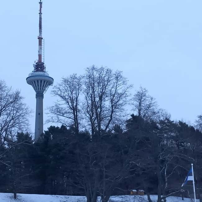 Tallinn TV tower and Botanic garden (a tour with a guide) - A Deep Dive into the Experience