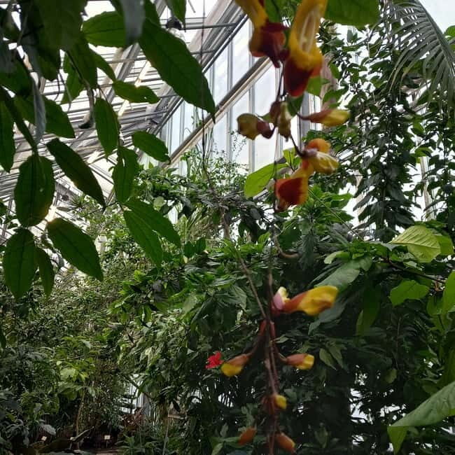 Tallinn TV tower and Botanic garden (a tour with a guide) - Frequently Asked Questions