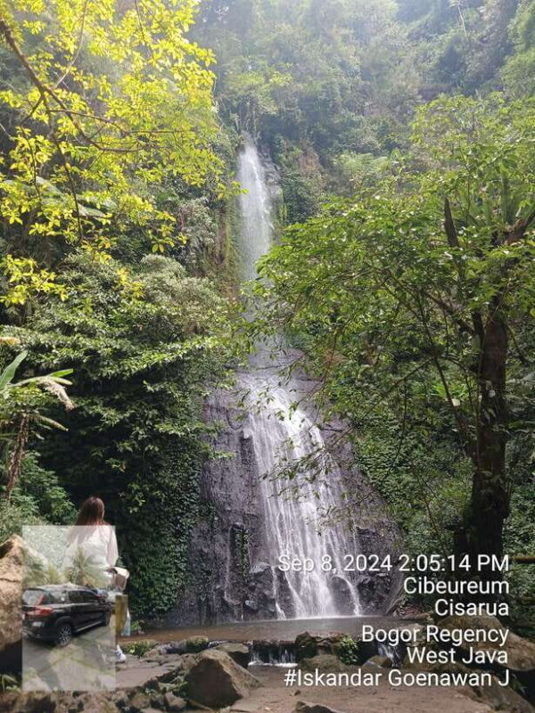 Taman Safari and Tea Plantation Tour at Puncak - Key Points