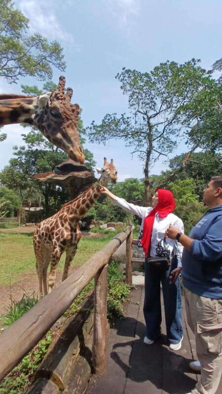 Taman Safari and Tea Plantation Tour at Puncak - Final Thoughts