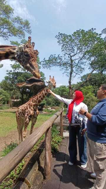 Taman Safari and Tea Plantation Tour at Puncak - FAQs
