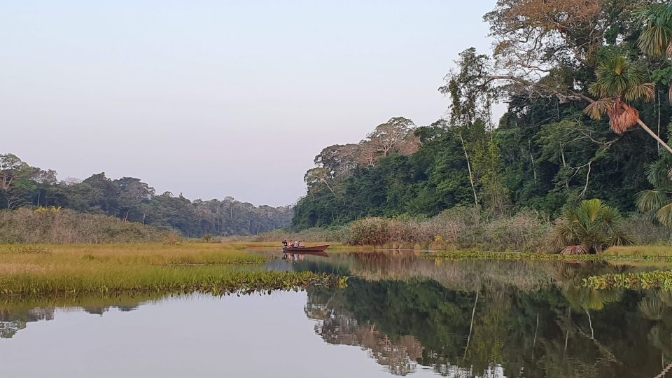 Tambopata All in One - Chance to Encounter Rare Wildlife