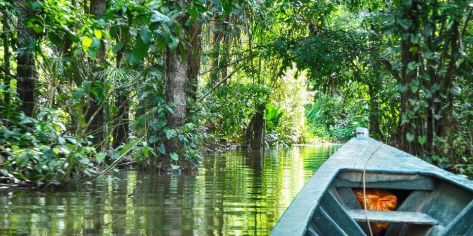 Tambopata: Extreme River Adventure in Tambopata 1-Day - Detailed Itinerary