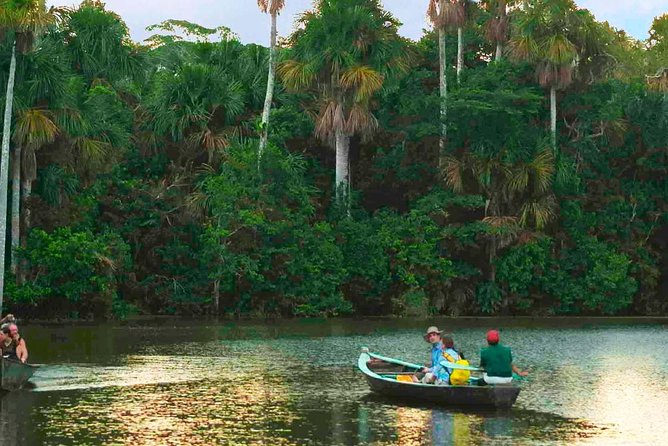 Tambopata Jungle Adventure Tour 4 Days - Itinerary Breakdown