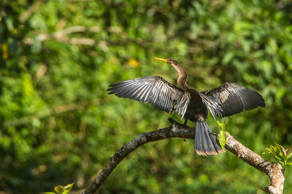 Tambopata Macaw Clay Lick 4 Days/3 Nights - Group Size and Accessibility