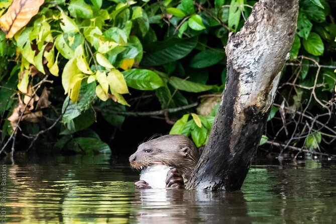 Tambopata National Reserve Tour (3 Days) - Physical Fitness Recommendations
