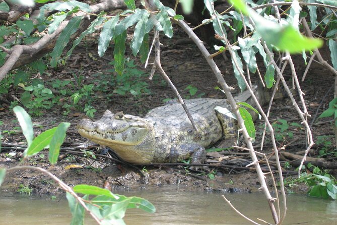 Tambopata National Reserve Tour (3 Days) - Pricing and Guarantees