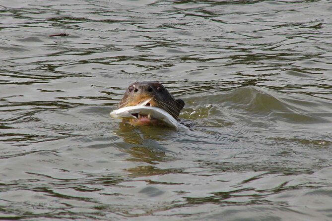 Tambopata National Reserve Tour 4 Days From Cusco - Health and Safety Considerations