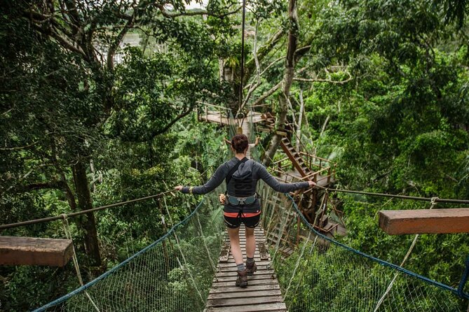 Tambopata National Reserve Tour 4 Days From Cusco - Pricing and Cancellation Policy