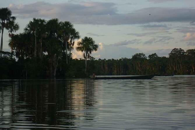 Tambopata National Reserve Tour 4 Days From Cusco - Guest Reviews and Testimonials