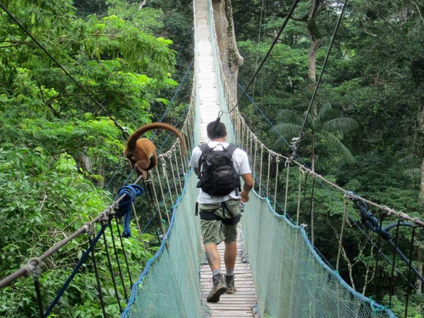 Tambopata National Reserve With Fauna Observation 4 Days - Frequently Asked Questions