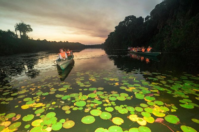 Tambopata (Puerto Maldonado) 4 Days - Traveler Reviews and Feedback