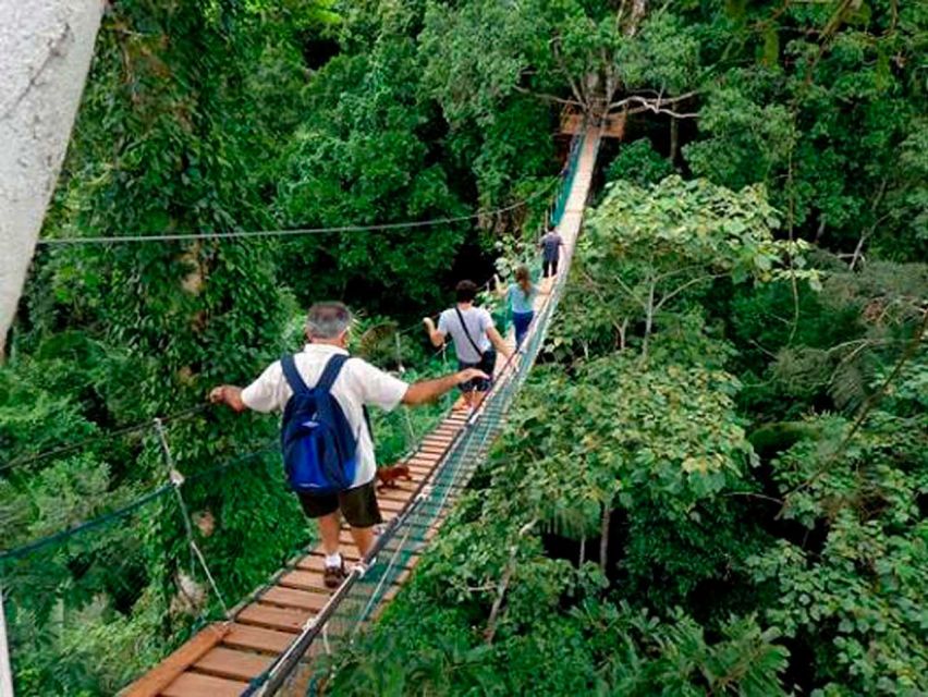 Tambopata: Sandoval Lake and Loros Colpa 3-Day Tour - Key Points