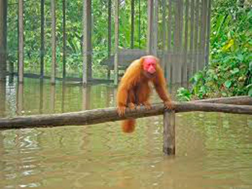 Tambopata: Tour of Monkey Island and Lake Sandoval 3-Days - Observe Wildlife at Lake Sandoval