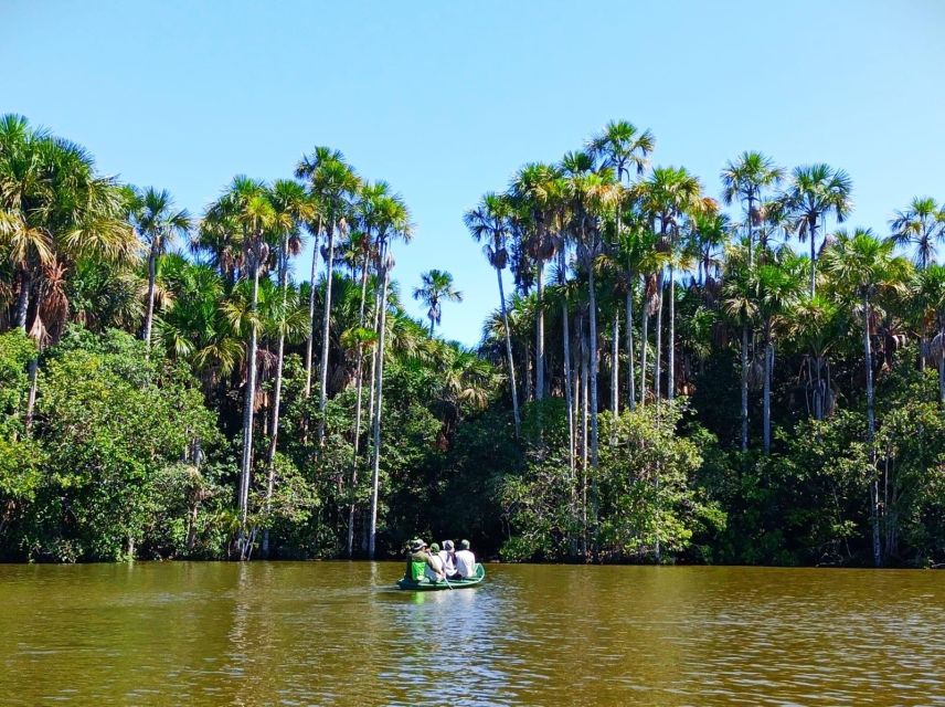 Tambopata Tour With Ayahuasca Ceremony 4 Days - Taking in the Native Shamans Guidance