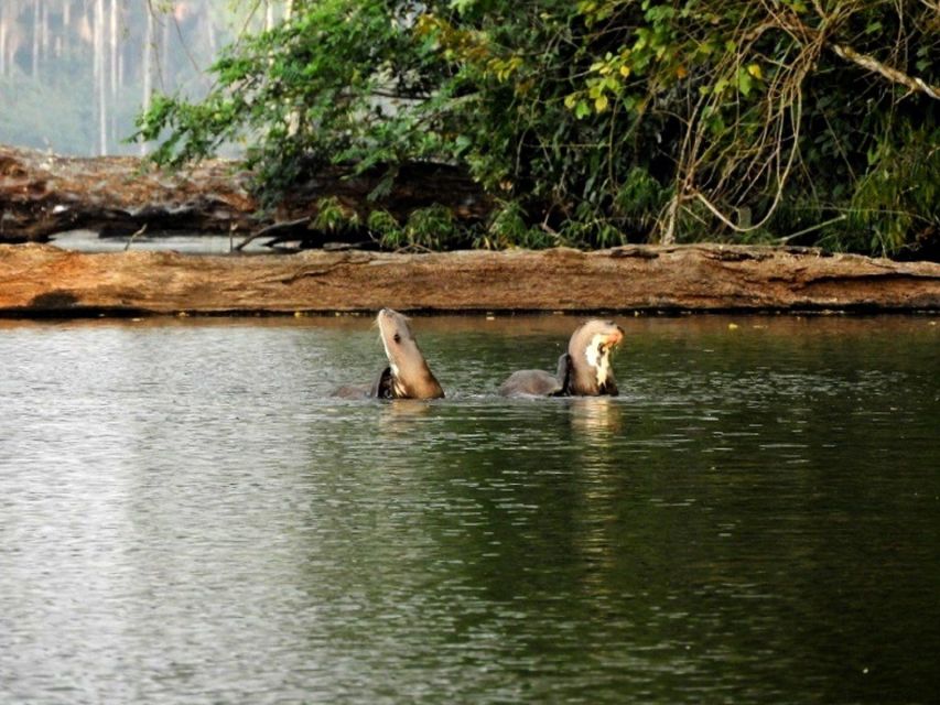 Tambopata Tour With Ayahuasca Ceremony 4 Days - Booking and Cancellation Policy