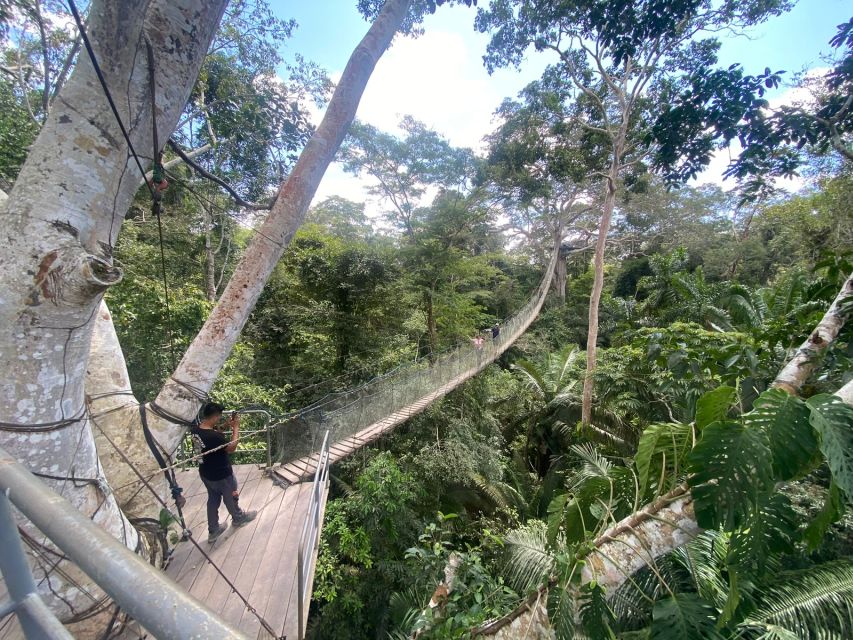 Tambopata: Zipline Adventure & Kayak to Monkey Island - Key Points