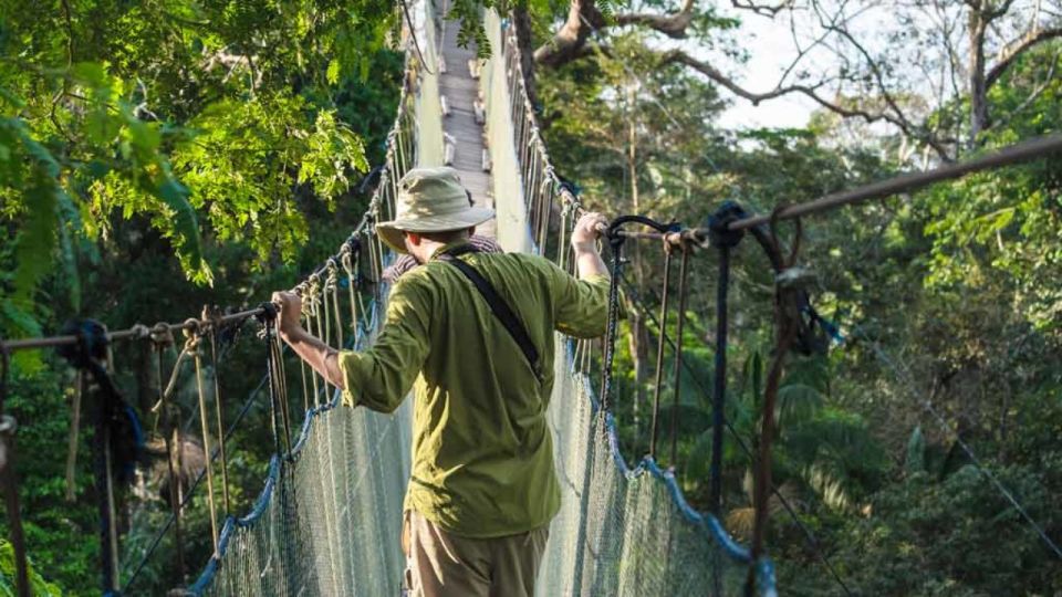 Tambopata: Zipline Adventure & Kayak to Monkey Island - What to Expect