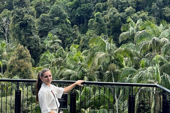 Tamborine Explorer from Brisbane - Discover the Tamborine Explorer from Brisbane: An Authentic Day Out in Nature and Culture