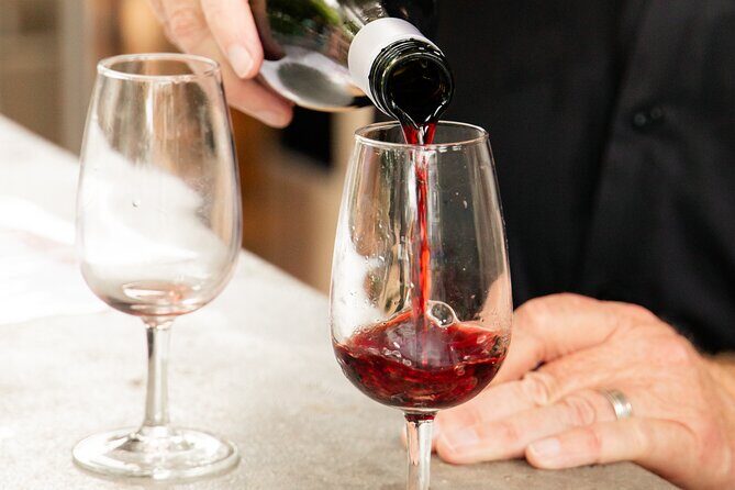 Tamborine Explorer from Brisbane - Key Points