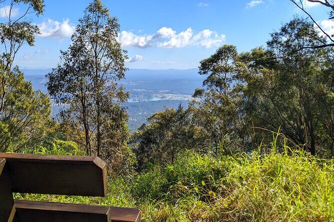 Tamborine Mountain and Paradise Point Tour from Brisbane - An Authentic Day in Brisbane’s Hinterland