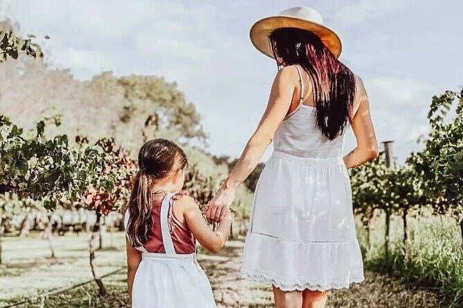 Tamborine Mountain - Hop On Hop Off - From Brisbane - Transportation and Timing