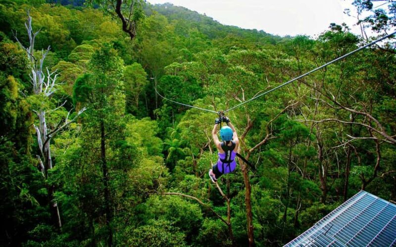 Tamborine Mountain: TreeTop Challenge Adrenaline Pass - Key Points