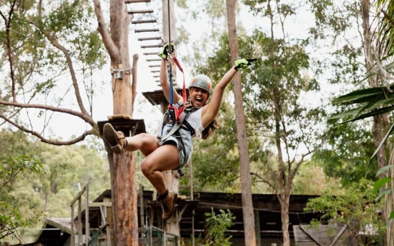 Tamborine Mountain: TreeTop Challenge Adventure Park - What is the TreeTop Challenge Adventure Park?