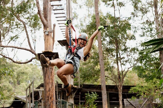 Tamborine Mountain TreeTop Challenge Adventure Park - What to Expect at Tamborine Mountain’s TreeTop Challenge