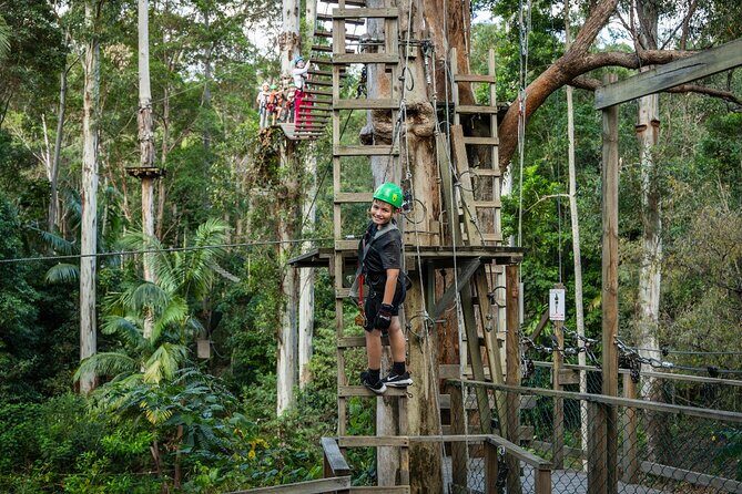 Tamborine Mountain TreeTop Challenge Adventure Park - Why This Adventure Is Worth It
