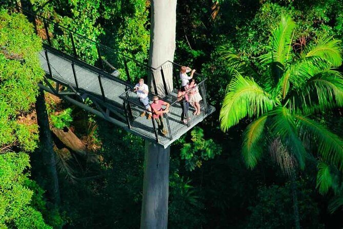 Tamborine Rainforest Skywalk + Hop on Hop off Bus - An In-Depth Look at the Tour Experience