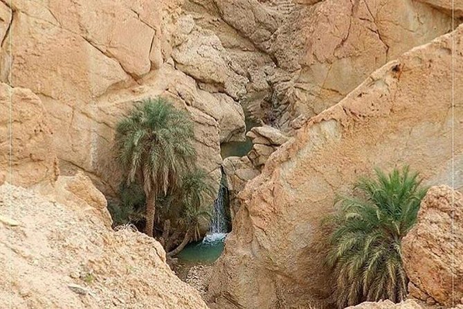 Tamerza Canyon Oasis Tour - Tips for a Great Experience