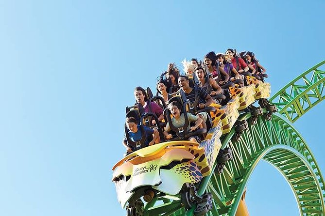 Tampa Bay CityPASS® - Visitor Experience and Ratings