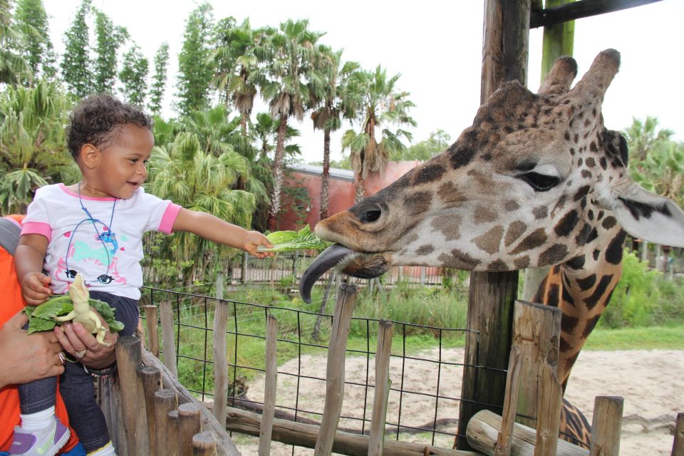 Tampa Bay CityPASS®: Save 54% at 5 Top Attractions - Ticket Policies and Validity