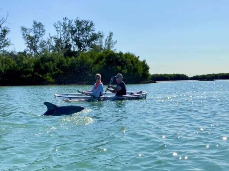 Tampa Bay: Shell Key Preserve Clear Kayak Tour - The Itinerary: What to Expect