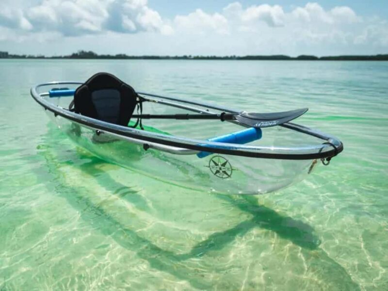 Tampa Bay: Shell Key Preserve Clear Kayak Tour - Small Group Dynamics and Personal Attention