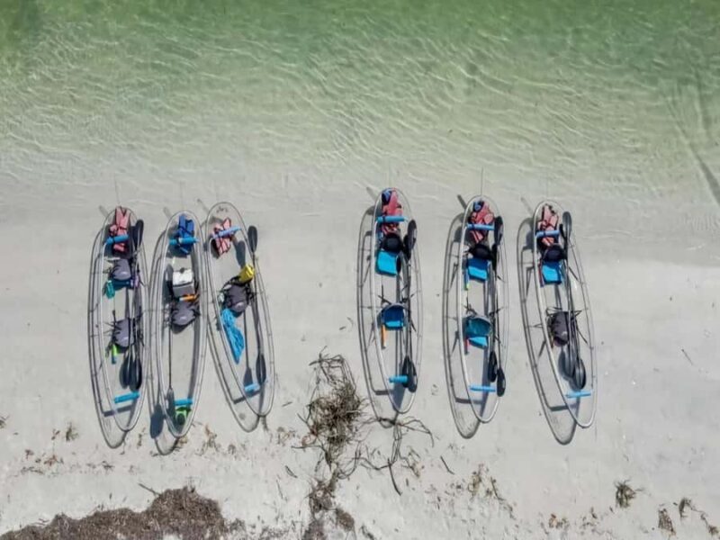 Tampa Bay: Shell Key Preserve Clear Kayak Tour - Who Should Consider This Tour?