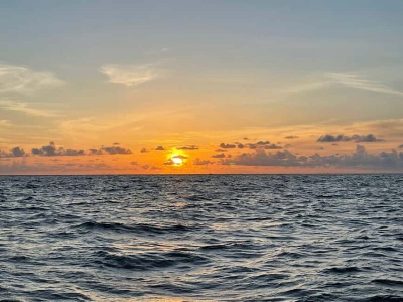 Tampa Bay: Sunset Cruise with Celebrity Homes and Wildlife - What You Can Expect on the Cruise