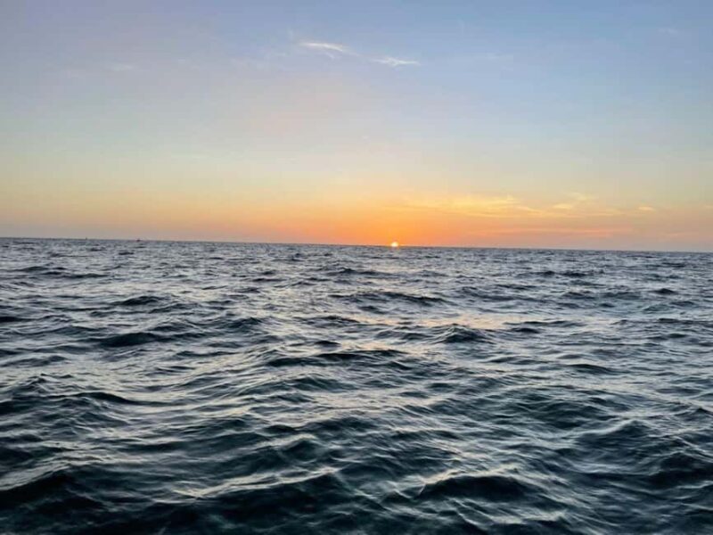 Tampa Bay: Sunset Cruise with Celebrity Homes and Wildlife - The Guide and Experience Quality