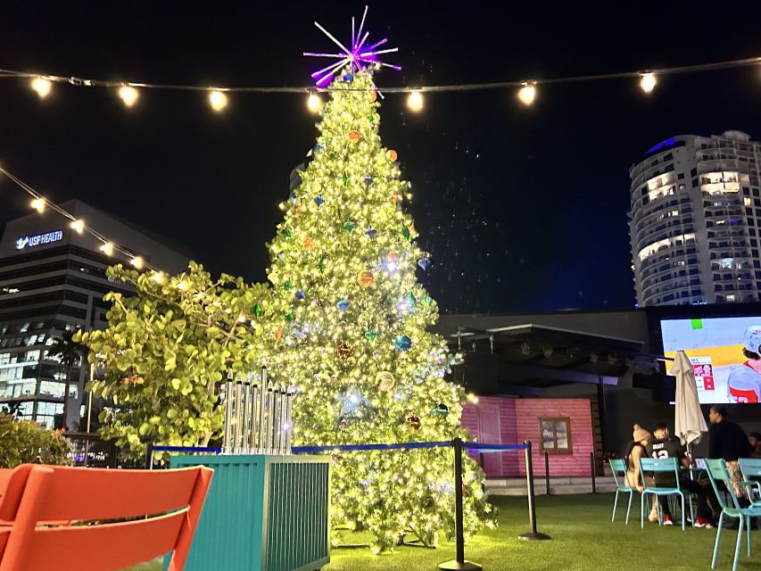 Tampa: Night of Lights Tour by Electric Golf Cart - Exclusive Neighborhoods