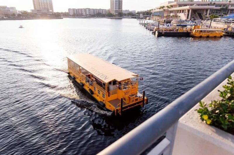 Tampa: Pirate Water Taxi Hop-On Hop-Off Tour - Key Points