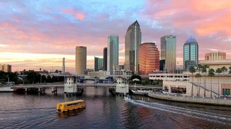 Tampa: Pirate Water Taxi Hop-On Hop-Off Tour - Who Should Consider This Tour?