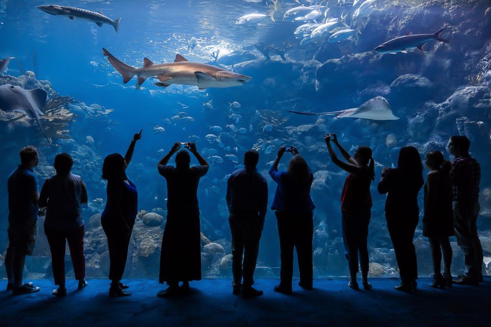 Tampa: The Florida Aquarium Ticket - Aquarium Experiences